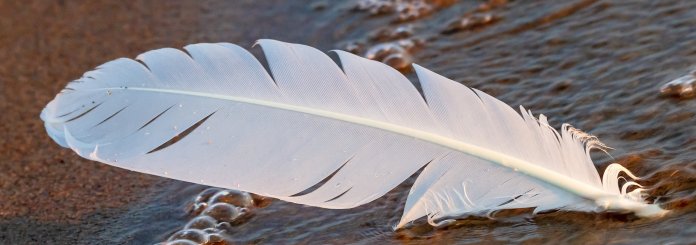 White Feather Guide