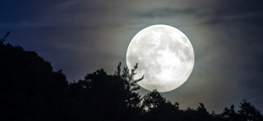 Moon Water to Recharge Your Body, Mind, and Spirit!