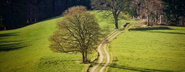 meditative walk